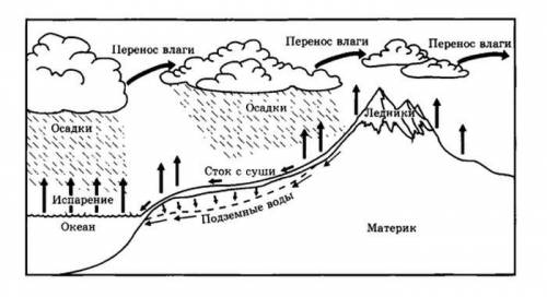 Нарисуй схему круговорота воды в воде сначала выполни рисунок простым карандашом проверь себя по уче