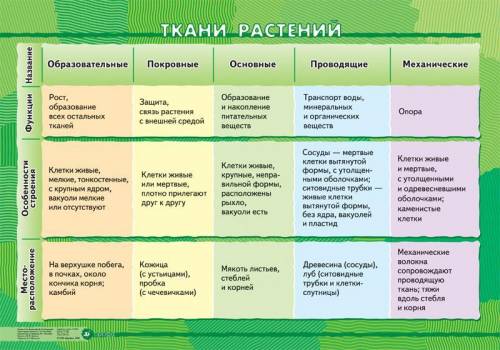 Заполните таблицу учебник 6 класс сонин с белкой