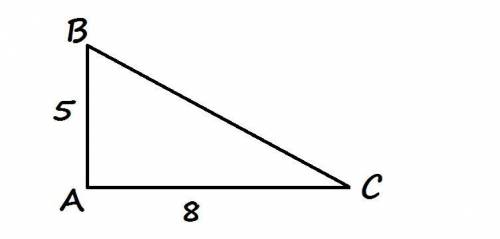Начерти прямоугольный треугольник со сторонами 5см.и 8 см. найди площадь даного треугольника