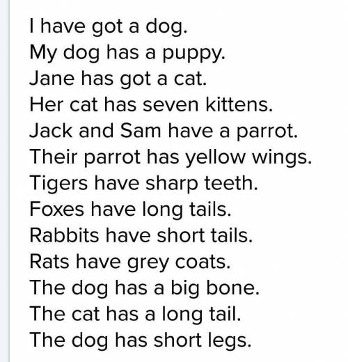 The dog is __ the cat a) the older than b) older than c) the oldest