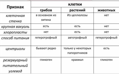 Сбиологией! сравнение клеток прокариот и эукариот​