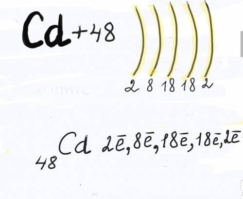 Изобразите электронную конфигурацию атома элемента № 48. определите по электронной конфигурации в ка