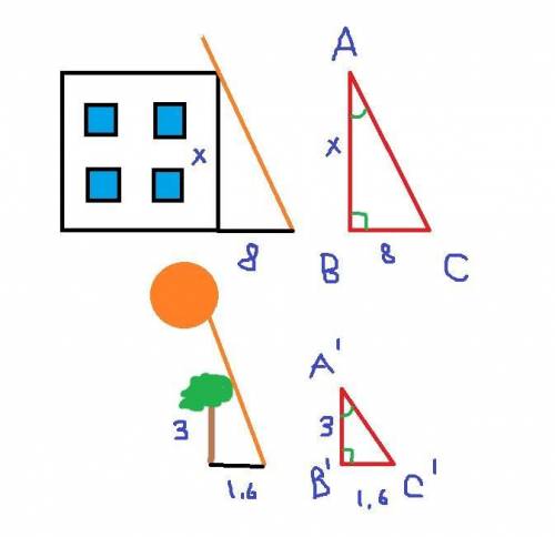 Всолнечный день длина тени на земле от дома равна 8 м,а от дерева высотой 3 м длина тени равна 1.6 м