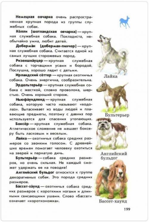 Найти в атласе определителе от земли до неба дополнительные сведения о породах собак