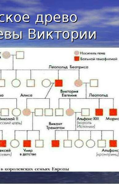 Составить генеалогическое древо по генетике