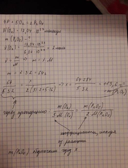 Решить: в реакцию с фосфором вступило 12,04 * 10 в23-й степени молекул кислорода. определите массу п