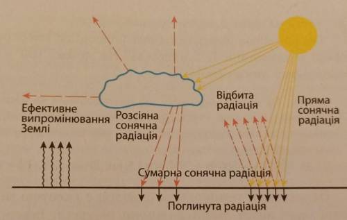 Виберіть правильну відповідь​