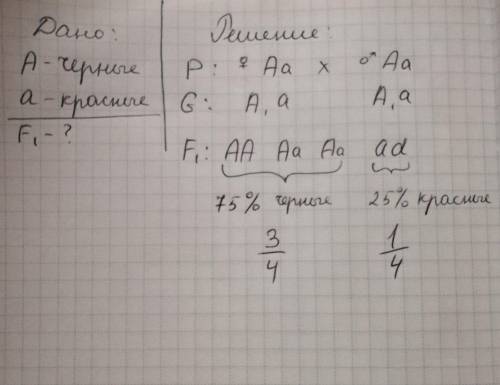 Ген черной окраски коров доминирует над геном красной окраски. определите, какими по фенотипу будут
