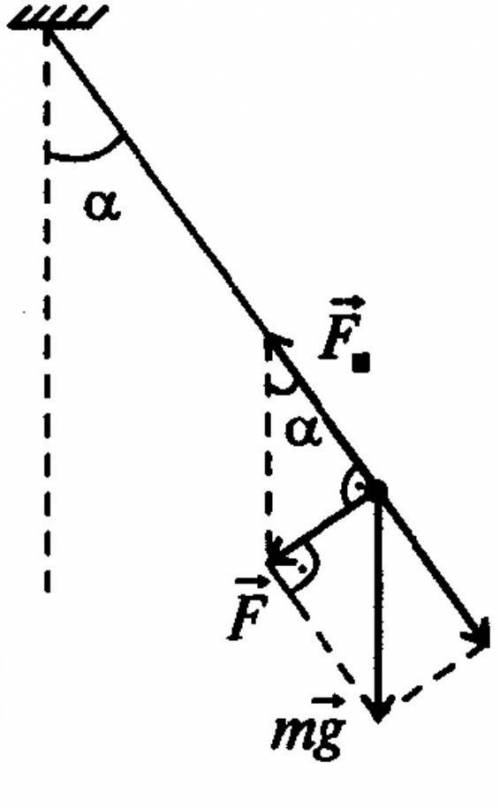 Нить с шариком массой 50г отклонили от положения равновесия на угол 30 градусов,а затем отпустили.на