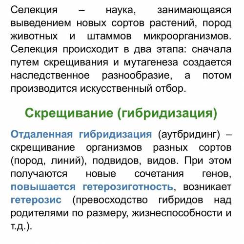 Врезультате близкородственного скрещивания увеличивается число особей с наследственными заболеваниям