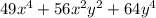 49x^{4} + 56x^{2}y^{2} + 64y^{4}