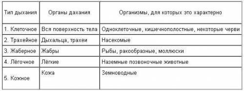 нужно написать органы дыхания этих типов: 1) простейшие 2) кишечнополостные черви 3) плоские черви