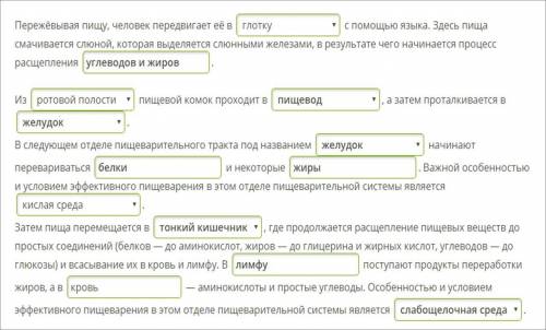 Укажи верные термины в пропусках и дополни текст «Этапы пищеварения». Пережёвывая пищу, человек пере
