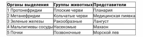 Сопоставьте органы выделения с группами животных и их представителями. 1 Протонефридии А Кольчатые ч