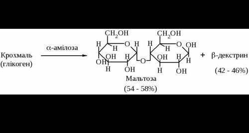 схема ступінчастого гідролізу крохмалю. схема ступенчатого гидролиза крахмала​