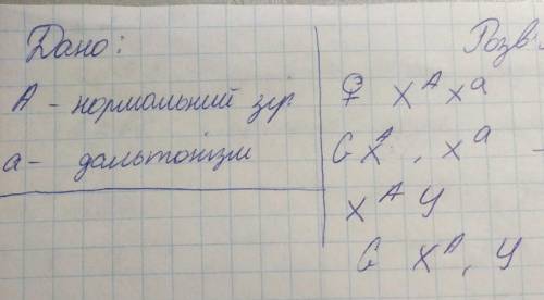 Фото,У людині рецесивний ген далтионізму