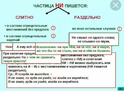 объясните написание! не хранимый никем ( почему раздельно, правило) многое не понятно ( почему разде