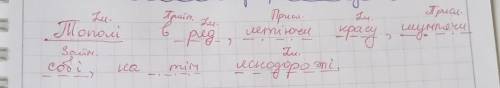 Підкреслити члени речення Тополі в ряд летіючи красу шумлячи собі на тім яснодорожі​