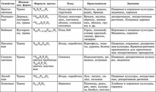 10 примеров растений к каждому семейству