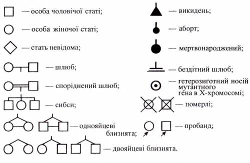 1. Складіть схему родоводу певної родини (своєї або іншої), використовуючи генетичні символи. 2. Про