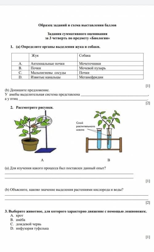 СОЧ по биологии за 3четверть нужно