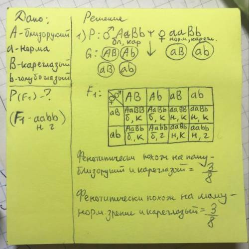 В семье кареглазых родителей, в которой отец был близоруким(доминантный признак), а мать имела норма