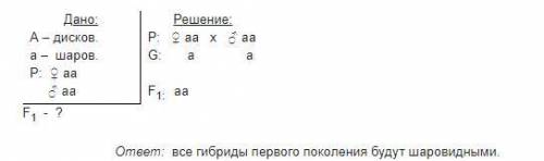 У тыквы дисковидная форма плода доминирует над шаровидной. Гомозиготную шаровидную тыкву опылили пыл