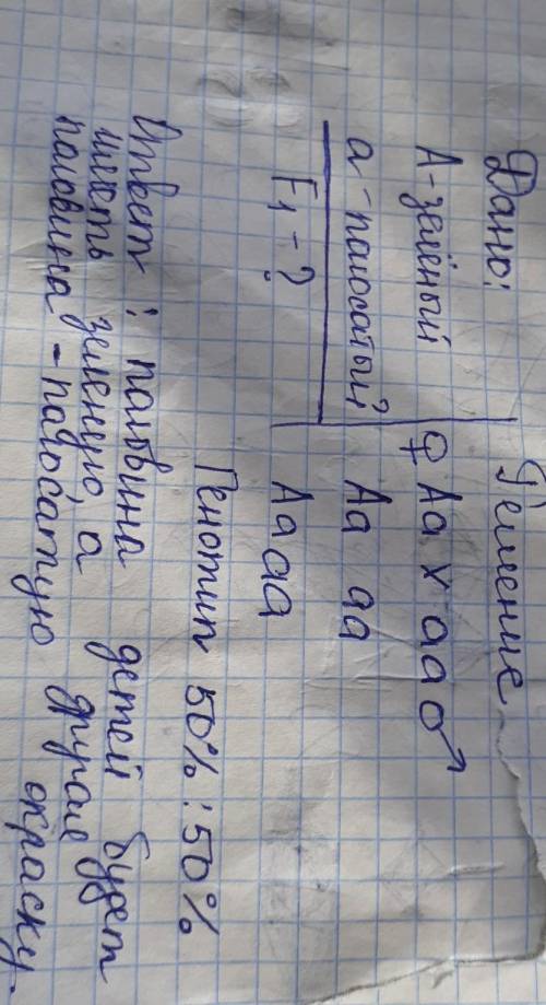 У арбуза зелёная окраска плодов доминирует над полосатой. Определите окраску плодов арбуза, полученн