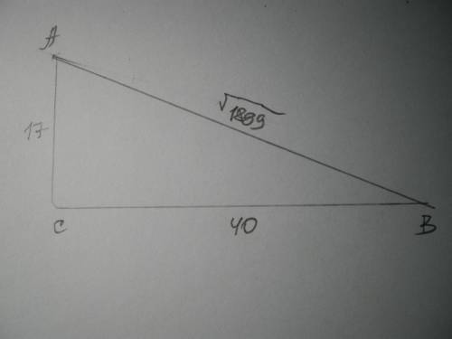 Начерти прямоугольный треугольник ABC так, чтобы ∢C =90°. AC= 17 см и BC= 40 см. Найди отношение сто