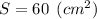 S= 60 \:\:(cm^2)