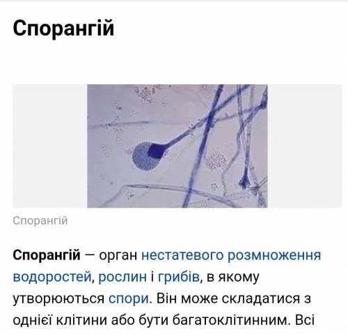 1.що таке спорангій ? 2.Яка будова особин статевого й нестатевого поколінь зозулиного льону? 3.Як ут