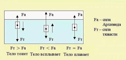 Які сили діють на тіло, якщо воно знаходиться в рідині?