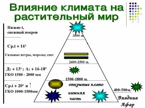 Влияние климата на растения коротко и понятно