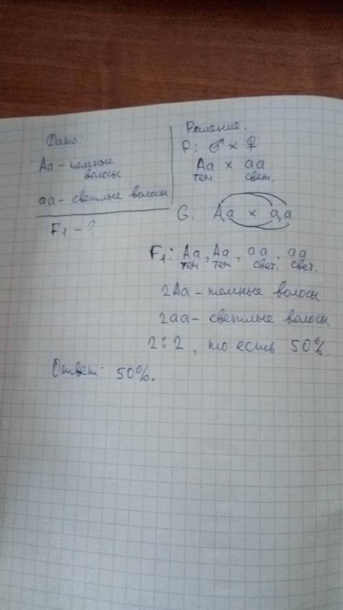 1) У человека тёмные волосы доминируют над светлыми. Установи вероятность (%) рождения темноволосых