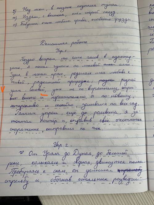 Задание 1. Перепишите, расставьте пропущенные знаки препинания. Укажите обособленные уточняющие член