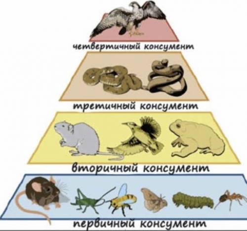 с заданием на фото класс​