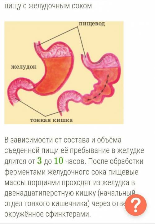 КОНСПЕКТ НА ТЕМУ ПИЩЕВАРЕНИЕ В ЖЕЛУДКЕ И КИШЕЧНИКЕ. ОЧЕНЬ