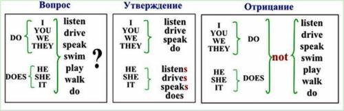 пропуск) you (пропуск) shower in the evening? 2. (пропуск) Sam and Kelly (пропуск) a laptop? 3. (про