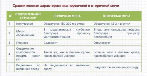 Отличительные особенности первичной и вторичной мочи таблица​