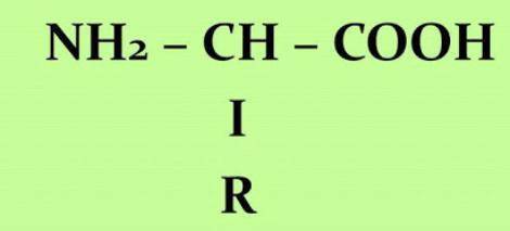 Загальна формула амінокислот?