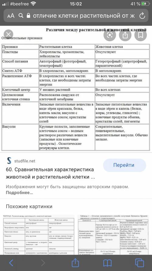 Каковы особенности строения растительной клетки?