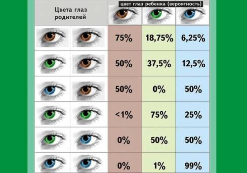 У человека карие глаза доминируют над голубыми. Установи вероятность (%) рождения голубоглазых детей