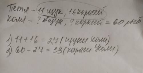 Петя поймал 11 щук и 16 карасей. Коля поймал столько щук, сколько всего рыб поймал Петя, и несколько