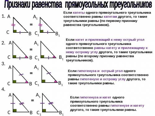 3.Чему равен катет прямоугольного треугольника, если он лежит против угла 30°?4.Что называется расст