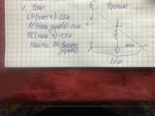 2. Бойы 1,8 м адамның шуақты күндегі жерге түсетін көлеңкесінің ұзындығы 90 см, ал ағаштың көлеңкесі