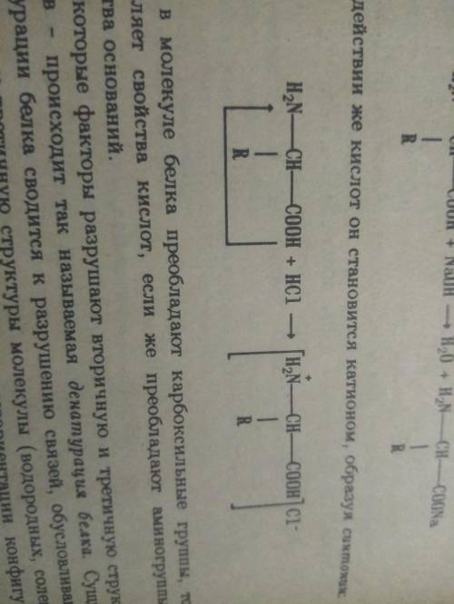 Осуществите превращения: С6Н6=С6Н5Сl=C6H5NH2=N22) Укажите название по международной номенклатуре ами