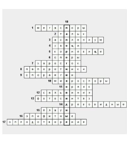 Кроссворд из 10 слов на тему плауны,хвощи,папоротники