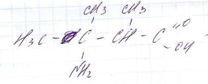 Складіть структурні формули таких речовин а) 2 метил бутаналь б) 2 - амінопентанова кислота в) 3 - а