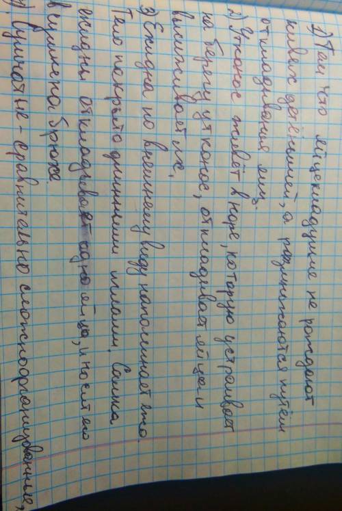 Тема: Разнообразие млекопитающих: яйцекладущие, сумчатые, планетарные.1. Чем характеризуется строени