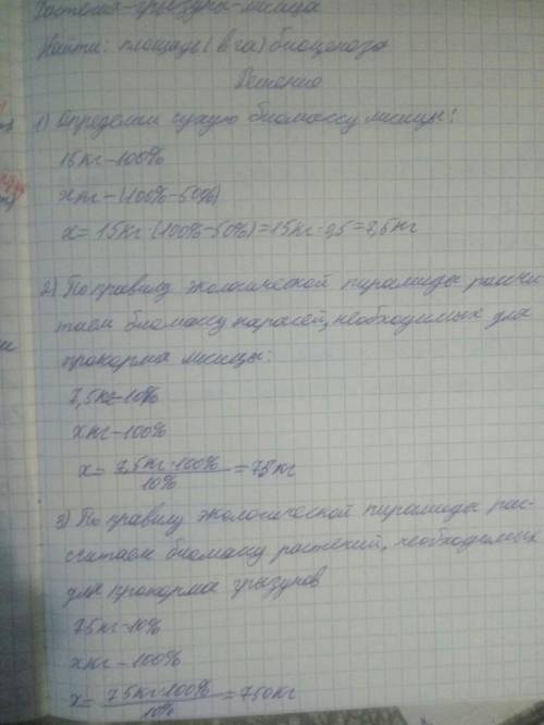 Сухая биомасса наземной растительности – 300гр на метр квадратный. Согласно правилу экологической пи